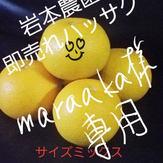 maraaka様専用(フルーツ)