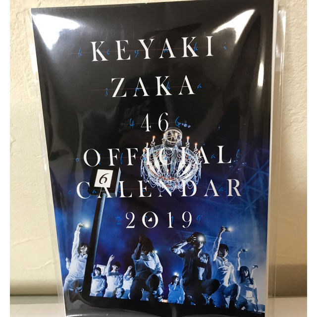 欅坂46(けやき坂46)(ケヤキザカフォーティーシックス)の欅坂46 2019カレンダー 限定ポストカード 13枚入 エンタメ/ホビーのタレントグッズ(アイドルグッズ)の商品写真