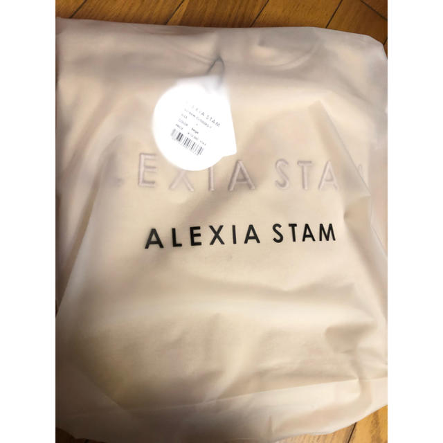 ALEXIA STAM(アリシアスタン)の本日限定値下げ！ALEXIA STAM Logo Hoodie Beig レディースのトップス(パーカー)の商品写真