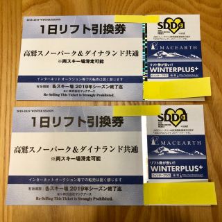 高鷲ダイナ リフト券 2枚 高鷲スノーパーク ダイナランド(スキー場)