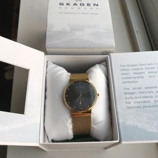 スカーゲン(SKAGEN)のSKAGEN 腕時計(腕時計(アナログ))