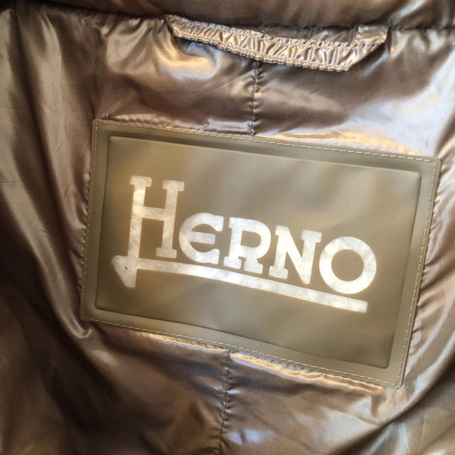 HERNO(ヘルノ)のヘルノ 軽量ダウン HERNO レディースのジャケット/アウター(ダウンコート)の商品写真