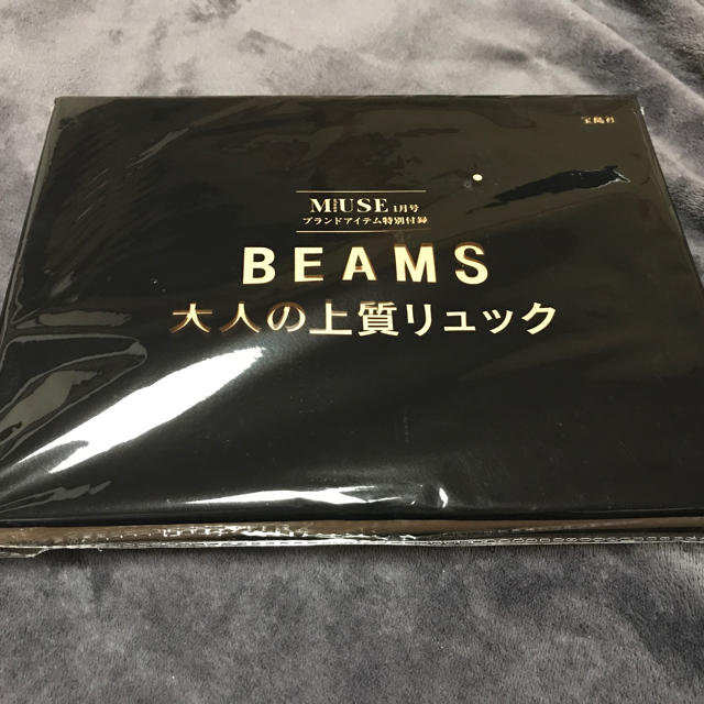 BEAMS(ビームス)のオトナミューズ  付録 レディースのバッグ(リュック/バックパック)の商品写真