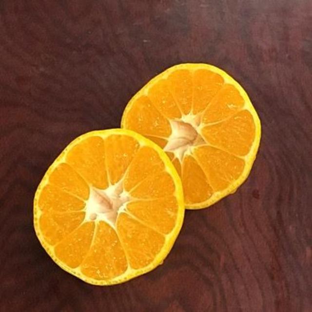 訳あり★産直不揃い５kg箱込み★神奈川県湯河原産🍊青島温州みかん🍊① 食品/飲料/酒の食品(フルーツ)の商品写真