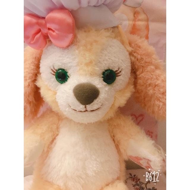 Disney(ディズニー)の香港ディズニー限定☆クッキーのぬいぐるみ エンタメ/ホビーのおもちゃ/ぬいぐるみ(ぬいぐるみ)の商品写真