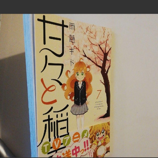 講談社(コウダンシャ)の【特典付き】甘々と稲妻 7巻/雨隠ギド エンタメ/ホビーの漫画(青年漫画)の商品写真