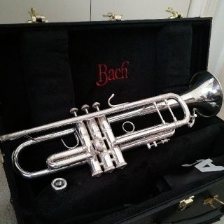 トランペット bach 180ML37SP(トランペット)