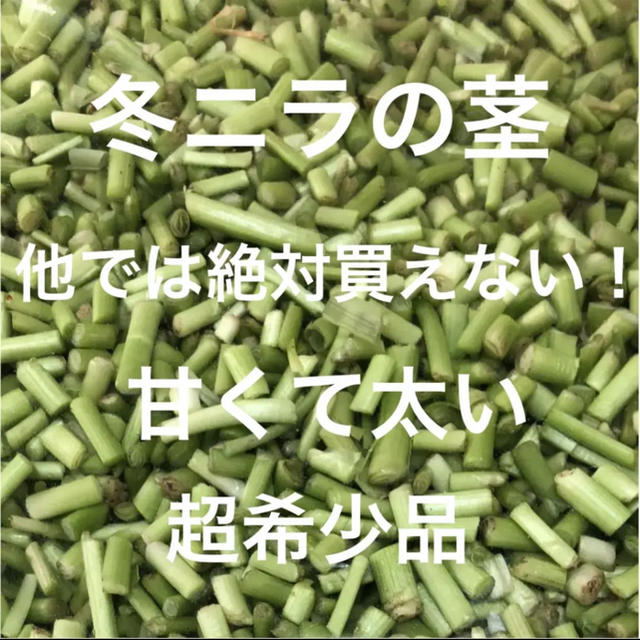 新鮮野菜 冬ニラの茎だけ！！ 超希少品 即購入可能！！ たっぷり 1キロ！！急げ 食品/飲料/酒の食品(野菜)の商品写真