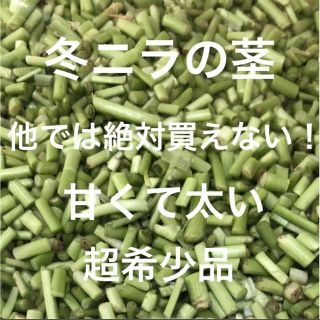 新鮮野菜 冬ニラの茎だけ！！ 超希少品 即購入可能！！ たっぷり 1キロ！！急げ(野菜)