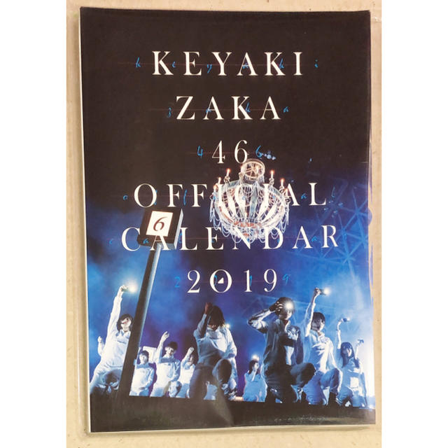 欅坂46(けやき坂46)(ケヤキザカフォーティーシックス)の欅坂46 公式壁掛けカレンダー 2019年版 早期予約特典 ポストカードセット  チケットの音楽(女性アイドル)の商品写真