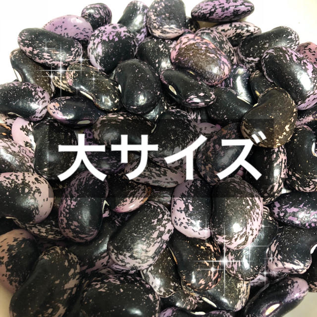 紫花豆 食品/飲料/酒の食品(野菜)の商品写真