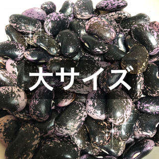 紫花豆(野菜)