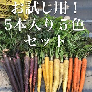 彩りフルーツにんじん。お試し5本入り５色。無農薬野菜(野菜)