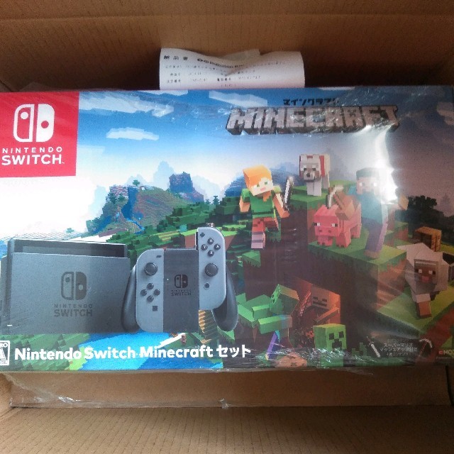 Nintendo Switch Minecraftセット 任天堂スイッチ
