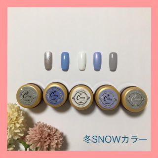 xxゆり様専用【カラー変更可】冬SNOWカラージェル ジェルネイル(カラージェル)