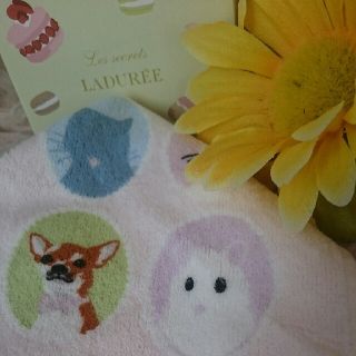 ラデュレ(LADUREE)の☆週末価格☆【LADUREE】動物モチーフ🐰ハンカチ❤(ハンカチ)