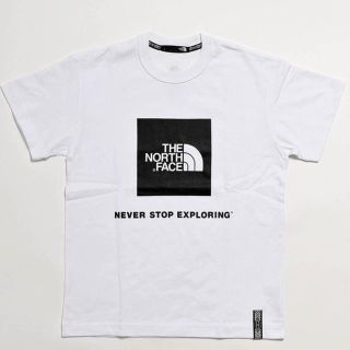 ザノースフェイス(THE NORTH FACE)の【Ｌサイズ】THE NORTH FACE RAGE BOX LOGO T(Tシャツ/カットソー(半袖/袖なし))