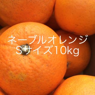 ネーブルオレンジ Sサイズ10kg(フルーツ)