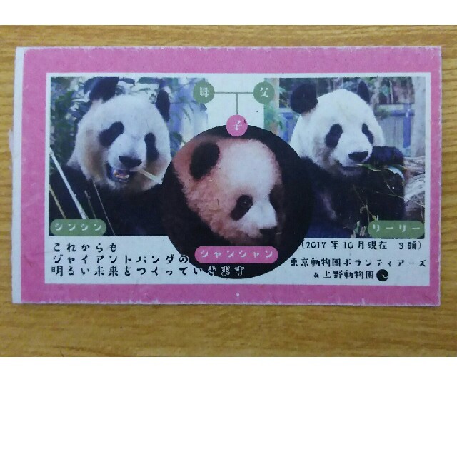 ジャイアントパンダのカード エンタメ/ホビーのトレーディングカード(その他)の商品写真