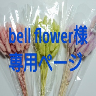 bell flower様専用ページ(ドライフラワー)