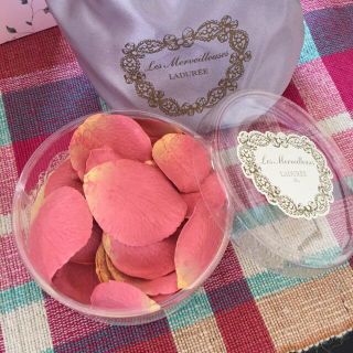 レメルヴェイユーズラデュレ(Les Merveilleuses LADUREE)のラデュレチーク(その他)