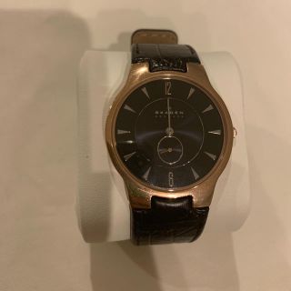 スカーゲン(SKAGEN)のスカーゲン腕時計 レディース(腕時計)