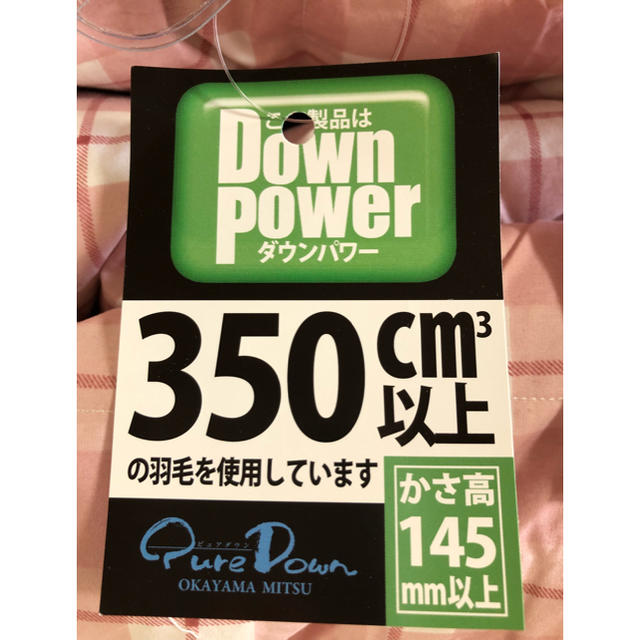 ⭕️冬用暖かい羽毛布団・立体キルト・ダウン85%・生地綿100%・送料無料♪ インテリア/住まい/日用品の寝具(布団)の商品写真