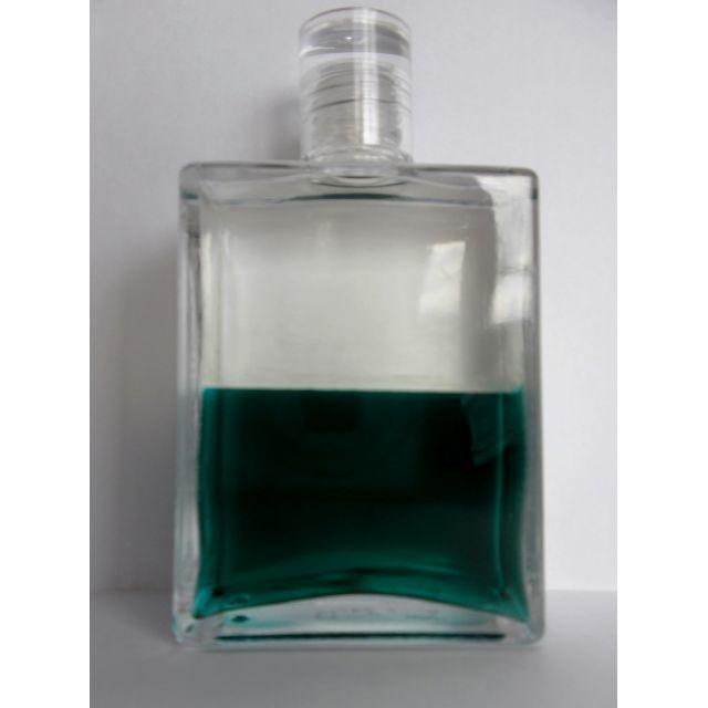 イクイリブリアムボトル 13番 新しい時代の変化 コスメ/美容の香水(ユニセックス)の商品写真
