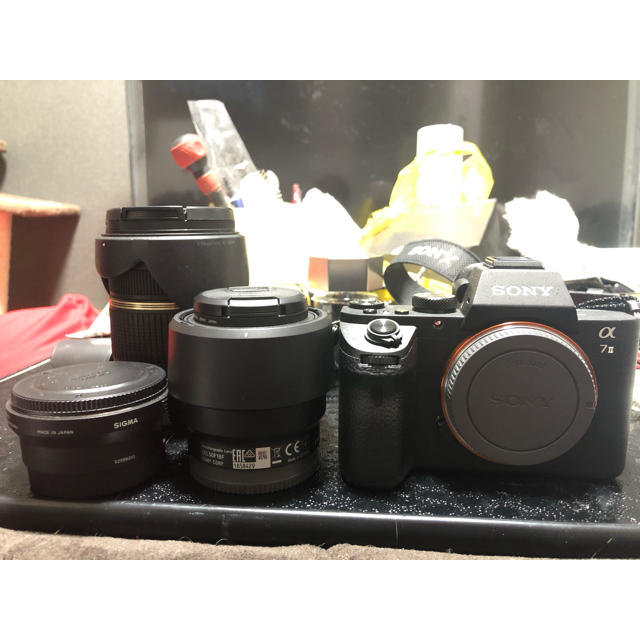 割引価格 SONY - α7Ⅱ SONY ミラーレス一眼 - zoopalic.com