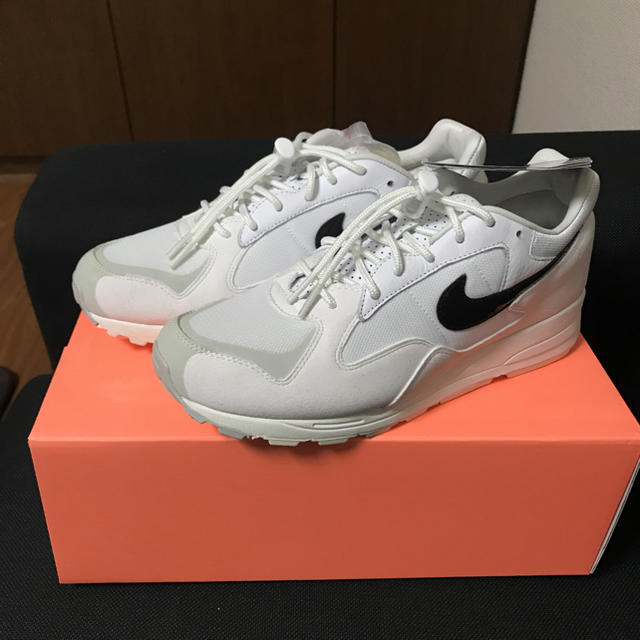 NIKE AIR SKYLON 2（エア スカイロン2) FOG