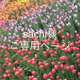 sachi様 ご専用ページ(人形)