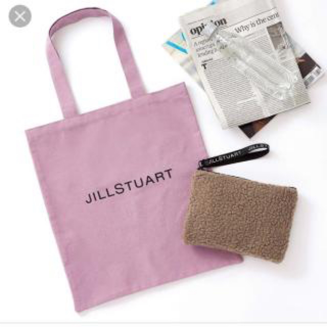 JILLSTUART(ジルスチュアート)のオトナミューズ付録 ジルスチュアート ボアポーチ ロゴトート レディースのファッション小物(ポーチ)の商品写真