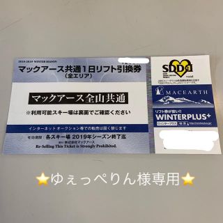 ⭐️ゆぇっぺりん様専用⭐️マックアース全山共通リフト券1枚(スキー場)