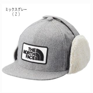 ザノースフェイス(THE NORTH FACE)のうみね様専用　ノースフェイス キャップ(キャップ)