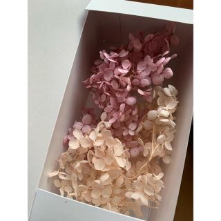 ドライフラワー 紫陽花(?)(ドライフラワー)