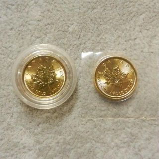 メイプルリーフ 金貨 1/10オンス  2枚 (貨幣)