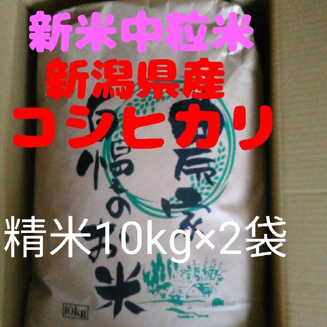 食品【即購入OK】新米新潟コシヒカリ中粒米10キロ精米×2袋