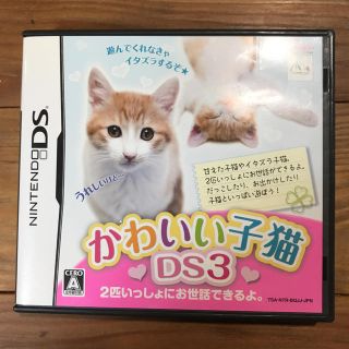 ニンテンドーDS(ニンテンドーDS)のDS「かわいい子猫 DS3」(携帯用ゲームソフト)