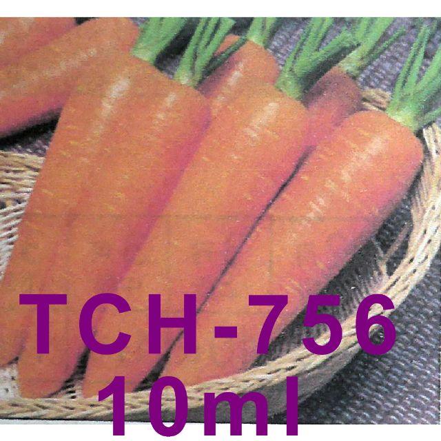 ラスト1：人参の種　タキイ「TCH-756」　約10ml（約250粒） 食品/飲料/酒の食品(野菜)の商品写真