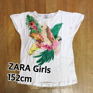 ザラ(ZARA)のZARA Girls  152cm (Tシャツ/カットソー)