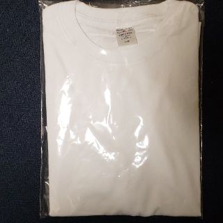 アヴィレックス(AVIREX)のAVIREX ロンＴ 無地 Ｌサイズ(Tシャツ/カットソー(七分/長袖))