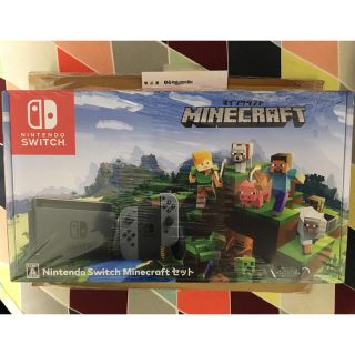 Nintendo Switch Minecraftセット 新品未開封 クーポン付