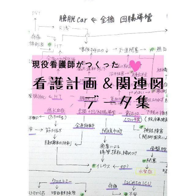 看護記録 看護計画 看護実習 関連図 データ 看護記録 看護計画 看護実習 関連図 データ