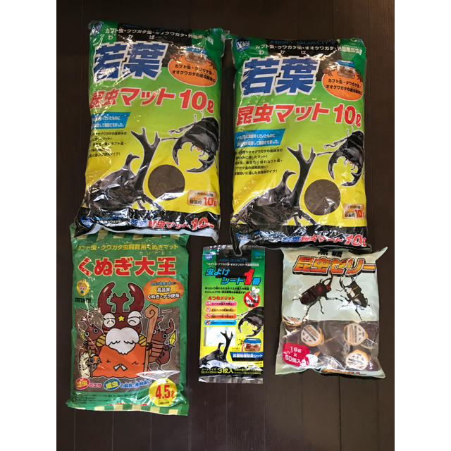 カブトムシ クワガタムシの飼育 5個セット その他のペット用品(虫類)の商品写真