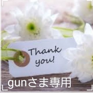 専用 gun さま(その他)