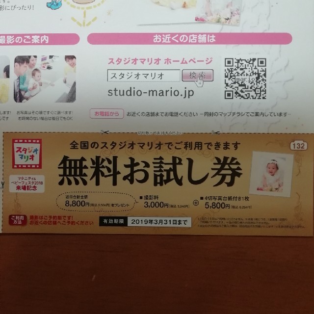 スタジオマリオ チケットの優待券/割引券(ショッピング)の商品写真