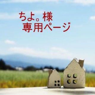 「ちよ。様 専用ページ」(エクササイズ用品)