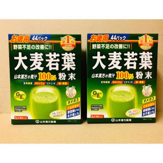 大麦若葉 2箱セット大麦若葉粉末100% 山本漢方の青汁(青汁/ケール加工食品)