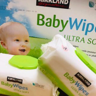 KIRKLAND  BabyWipes 100枚×5個セット(ベビーおしりふき)