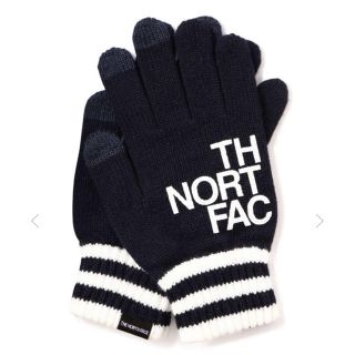 ザノースフェイス(THE NORTH FACE)のThe North Face 手袋(手袋)